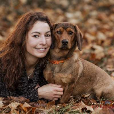 Hundetreffen-Hunde Treffen-Profilbild