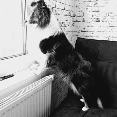 Foto-Challenge 76: Foto in Schwarz-Weiss-Beitrag-Bild