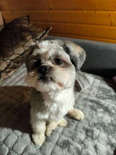 Wie viel Energie ist normal?-Beitrag-Bild