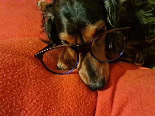 Fotochallange Nr. 57     PORTRÄT.   Beendet!!!!!!!!-Beitrag-Bild