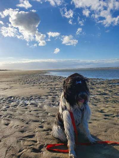 Fotochallenge Nr 50 Vom Winde verweht-Beitrag-Bild