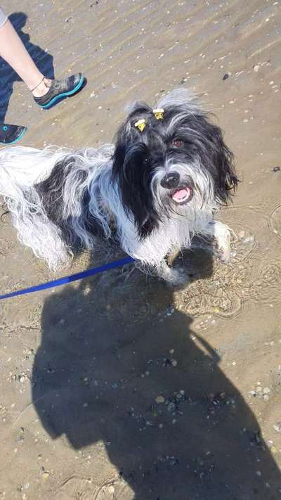 Doppelgänger gesucht !-Beitrag-Bild