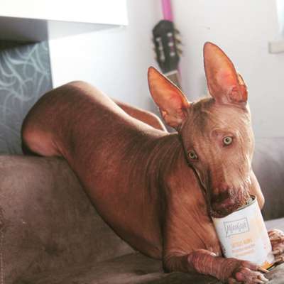 Lieblingsbild-Beitrag-Bild