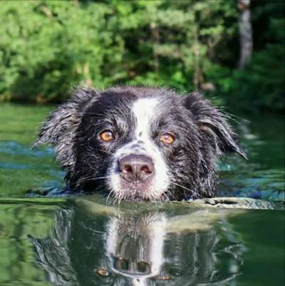 Für Wasserfans-Beitrag-Bild