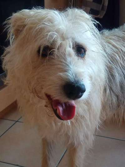 Zeigt eure Portraits-Beitrag-Bild