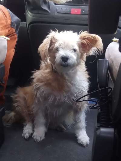 Außergewöhnliche Merkmale-Beitrag-Bild