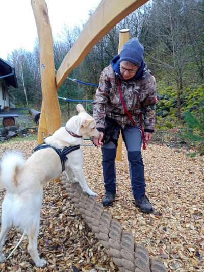 14. Handyfoto-Challenge: "BUDDY-Builder"-Beitrag-Bild