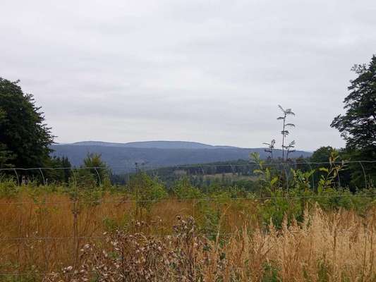 In welchem bundesland lebt ihr-Beitrag-Bild