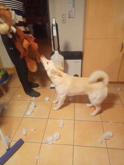 15. Handyfoto Challenge - Indoor Aktivitäten-Beitrag-Bild