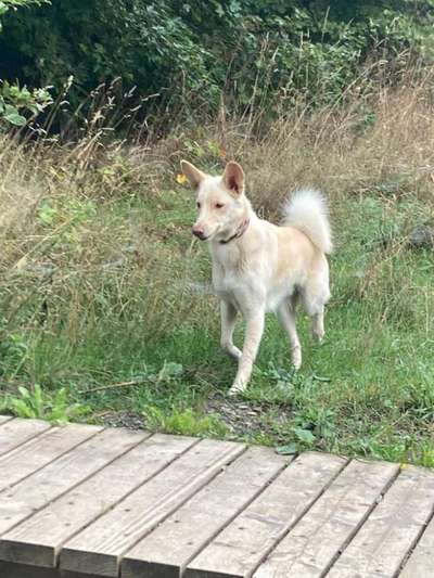 Zeigt eure Portraits-Beitrag-Bild