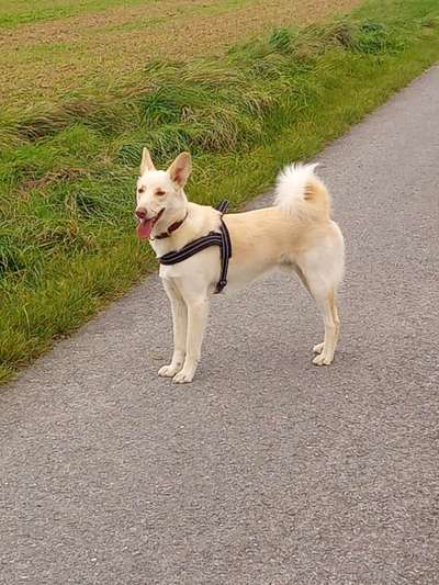 Außergewöhnliche Merkmale-Beitrag-Bild