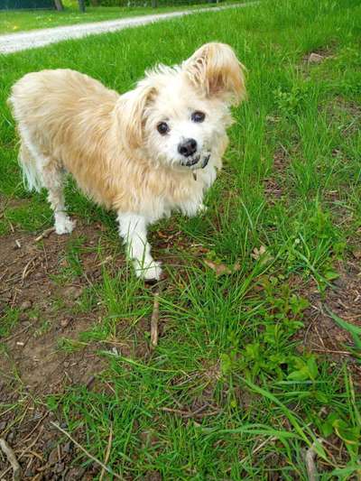 Zeigt eure Portraits-Beitrag-Bild