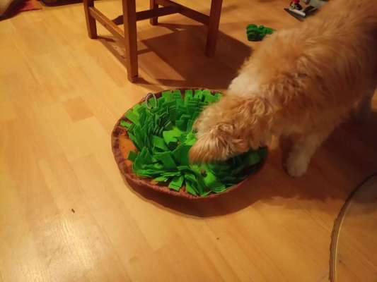 15. Handyfoto Challenge - Indoor Aktivitäten-Beitrag-Bild