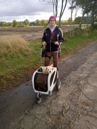 14. Handyfoto-Challenge: "BUDDY-Builder"-Beitrag-Bild