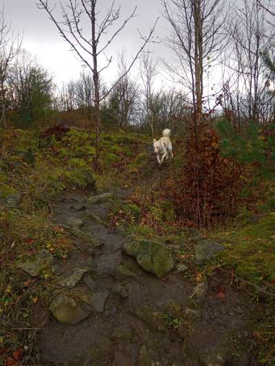 Herbst Bilder-Beitrag-Bild