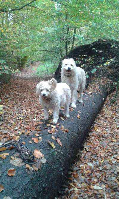 Herbst Bilder-Beitrag-Bild