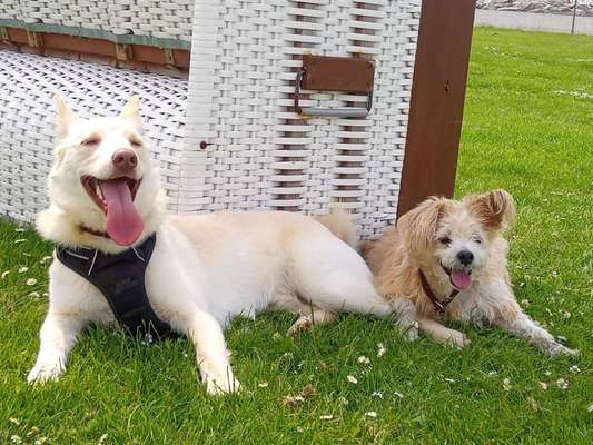 Handy-foto Challange nr. 11-Beitrag-Bild