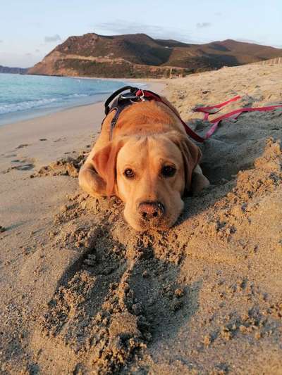 Lieblingsbild-Beitrag-Bild