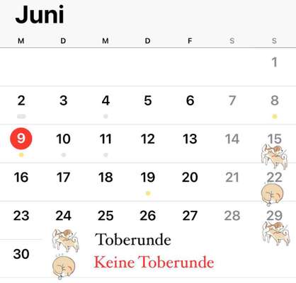 aktuelles Foto Gruppe Pfotenfreunde Cottbus 🐾