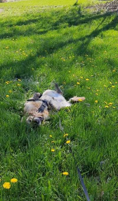 Farben Fotochallenge Sonnenlicht-Beitrag-Bild