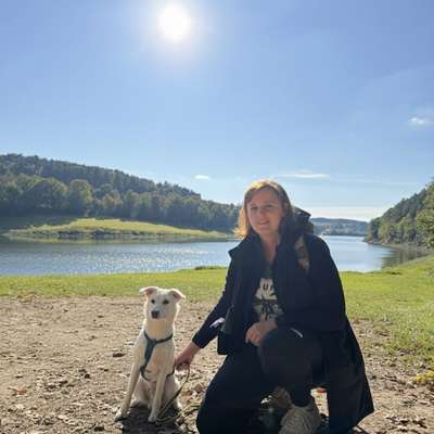 Hundetreffen-Regelmäßige Gassitreffen-Bild