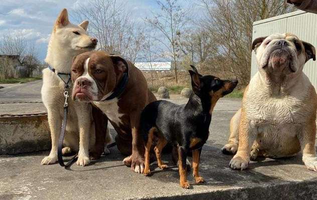 Fotochallenge No. 26                                     Wald und Wiese-Beitrag-Bild