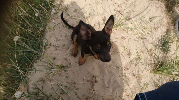 Unser Nachwuchs-Beitrag-Bild