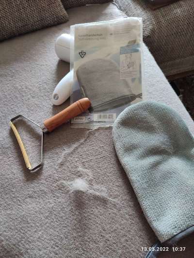 Fellpflege & Haare in der Wohnung-Beitrag-Bild