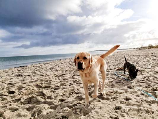 Fotochallenge Nr. 62 Romantische Momente-Beitrag-Bild