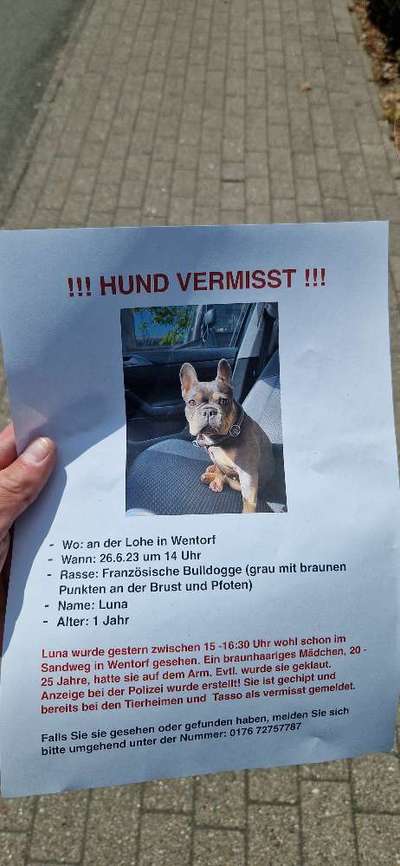 Suchmeldung-Luna-Bild