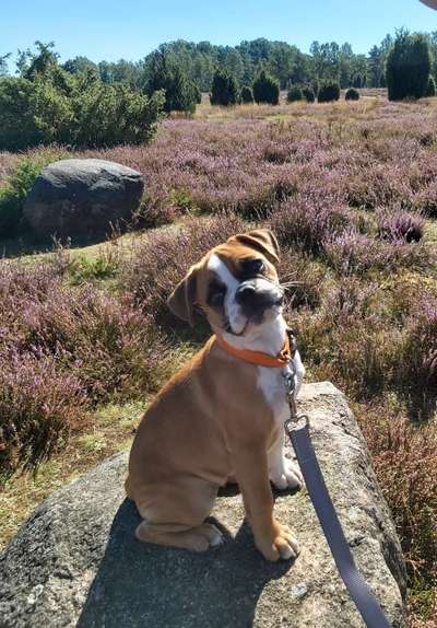 64. Handy Foto Challenge - Hoch hinaus-Beitrag-Bild