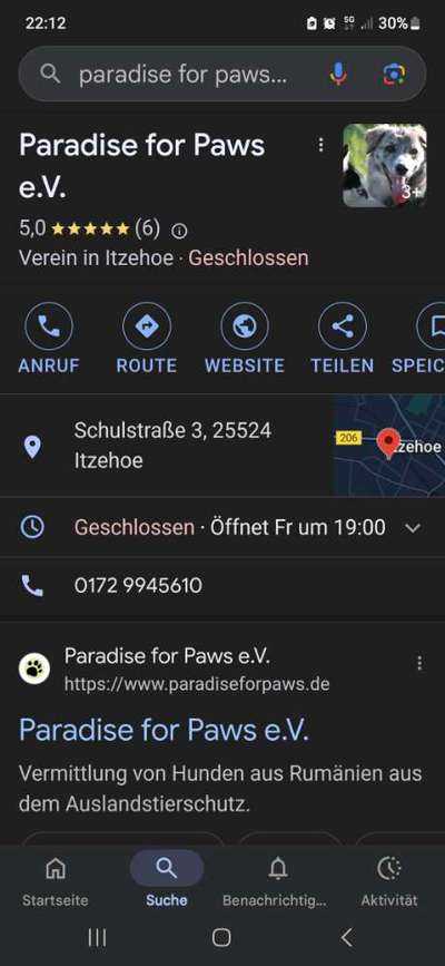 Adoption SOS Dogs Romania - Erfahrungen-Beitrag-Bild