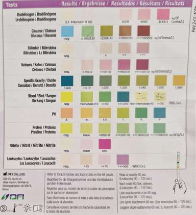 Struvit, viel Urin,keine Verbesserung-Beitrag-Bild