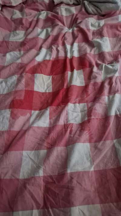 Struvit, viel Urin,keine Verbesserung-Beitrag-Bild