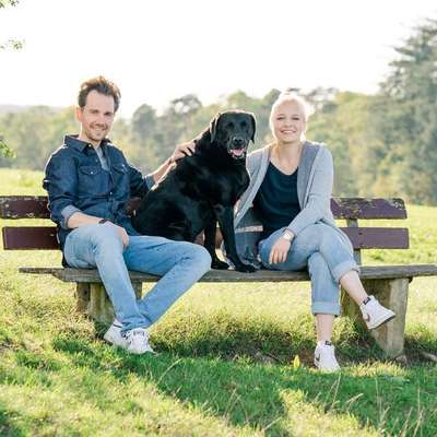 Hundeschulen-Nachbars Lumpi-Bild