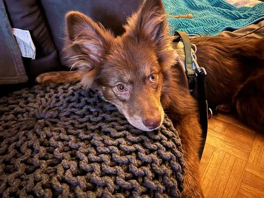 Doppelgänger gesucht !-Beitrag-Bild