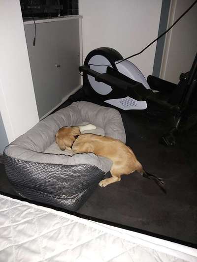 Die unbequemsten und lustigsten Schlafpositionen-Beitrag-Bild