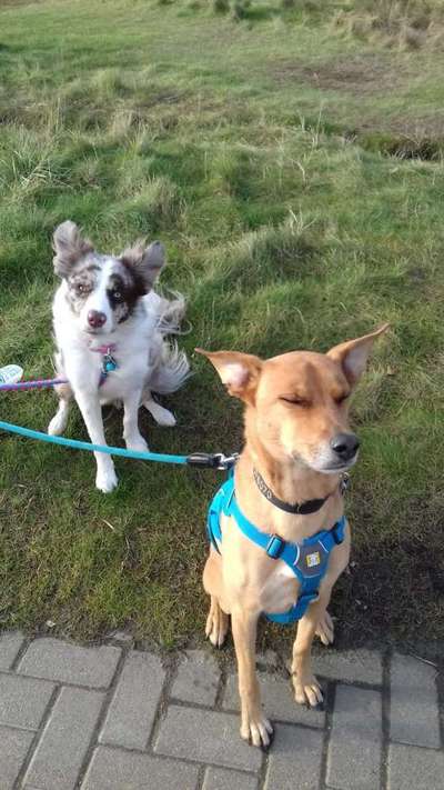 Lieblingsbild-Beitrag-Bild