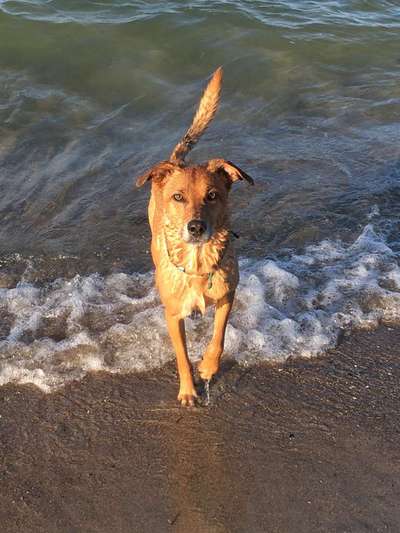 Fotochallange Nr. 57     PORTRÄT.   Beendet!!!!!!!!-Beitrag-Bild