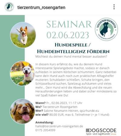 Giftköder-Hundespiele / Hundeintelligenz fördern!-Bild