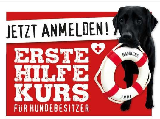 Giftköder-Erste-Hilfe-Kurse für Hundebesitzer-Bild