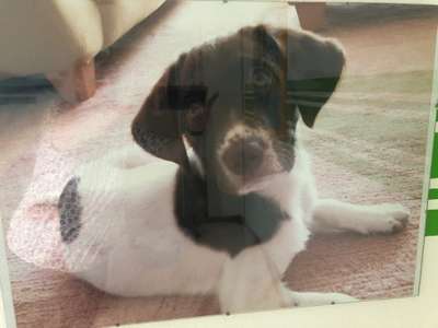 Die graue Eminenz-Beitrag-Bild