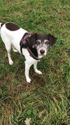 Die graue Eminenz-Beitrag-Bild