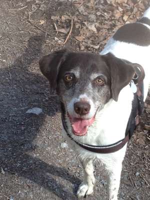 Die graue Eminenz-Beitrag-Bild