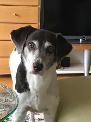 Die graue Eminenz-Beitrag-Bild