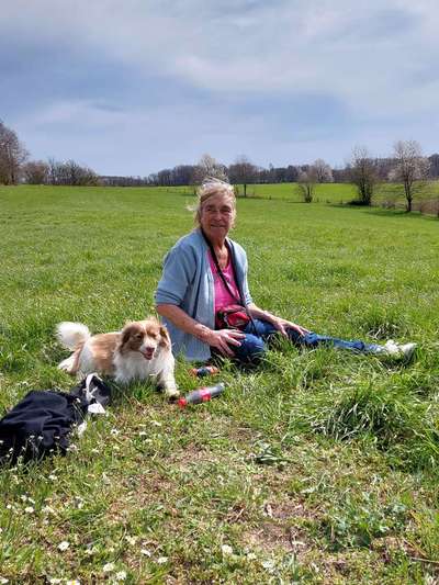 Hundetreffen-Lonato wünscht sich Spiel- und Gassifreunde-Bild