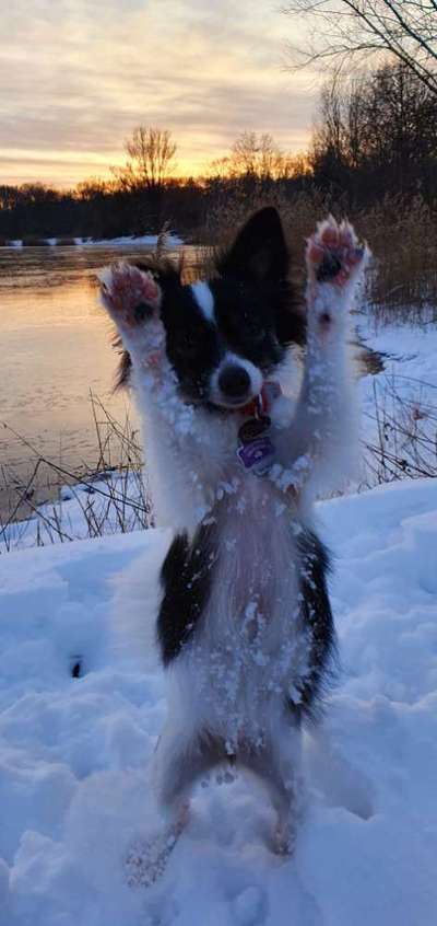 Fotochallenge Nr.65-Beitrag-Bild