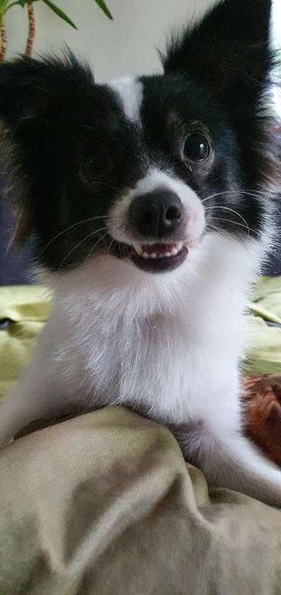 Fotochallenge Nr. 67: Euer Lieblingsbild-Beitrag-Bild