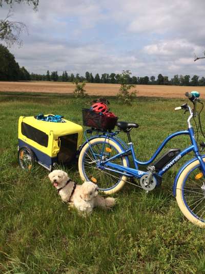 Fahrradanhänger? Lastenrad?-Beitrag-Bild