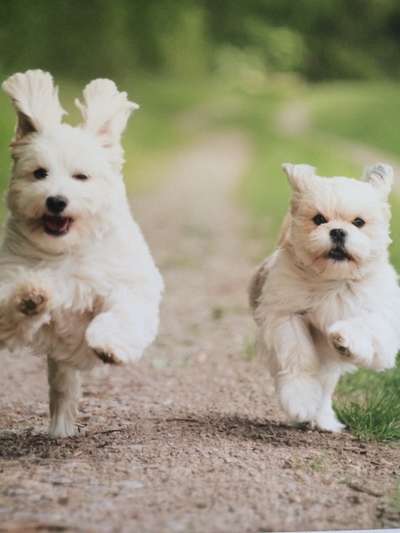 Lieblings Fotos-Beitrag-Bild